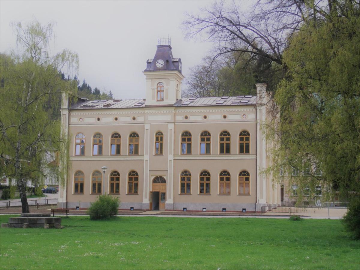 Apartament Pod Strechou Svoboda nad Úpou Zewnętrze zdjęcie