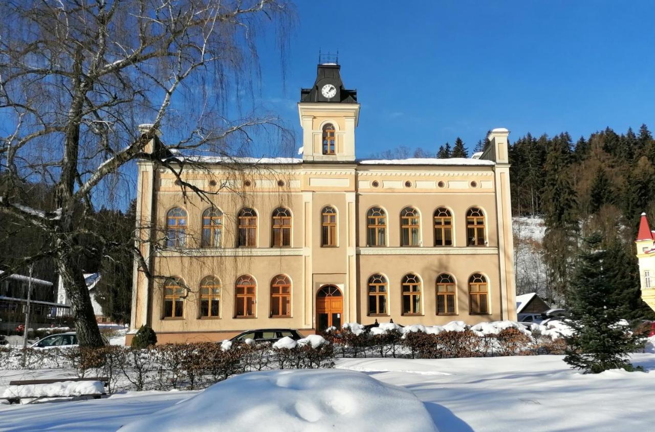 Apartament Pod Strechou Svoboda nad Úpou Zewnętrze zdjęcie