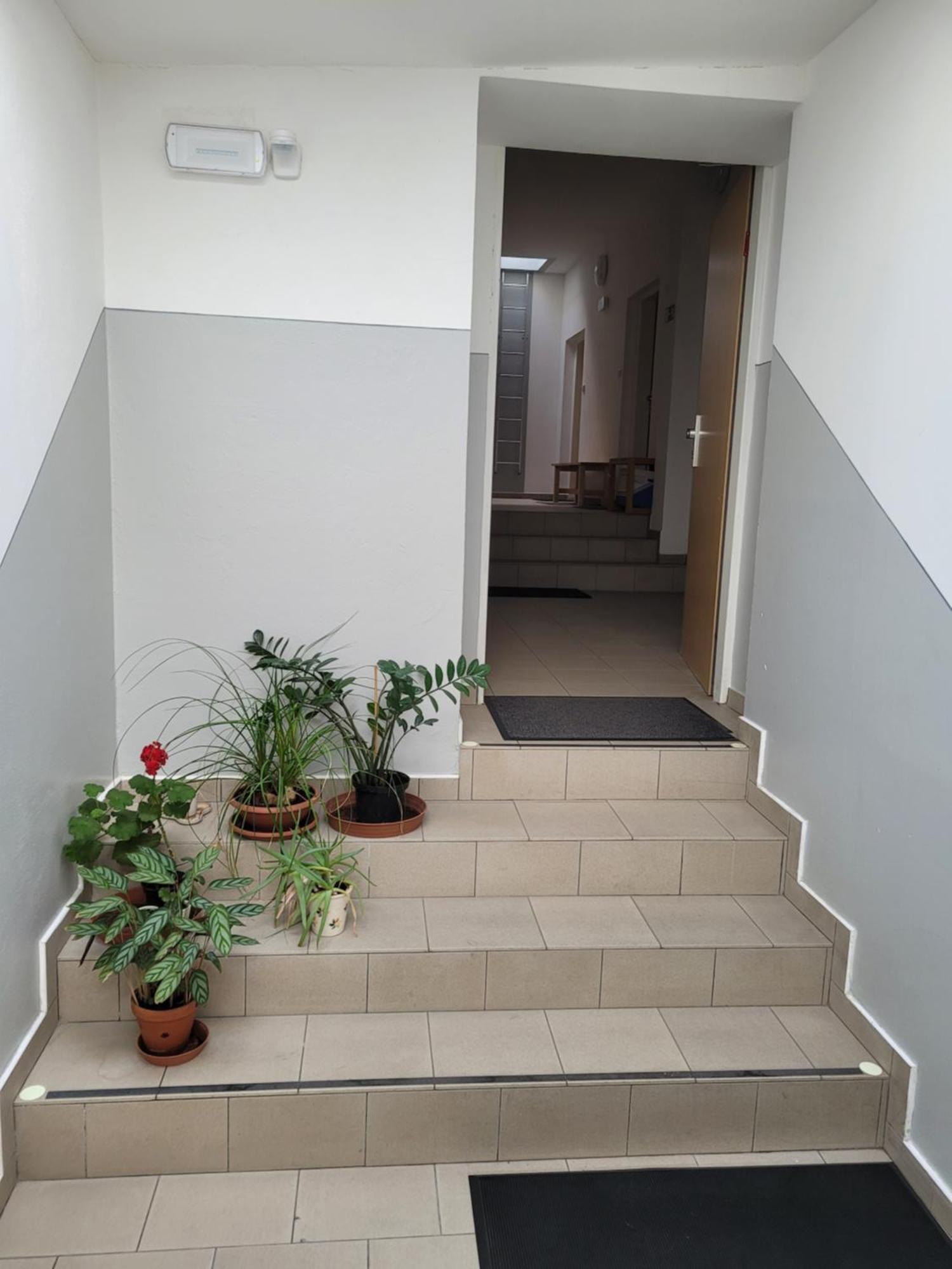 Apartament Pod Strechou Svoboda nad Úpou Zewnętrze zdjęcie
